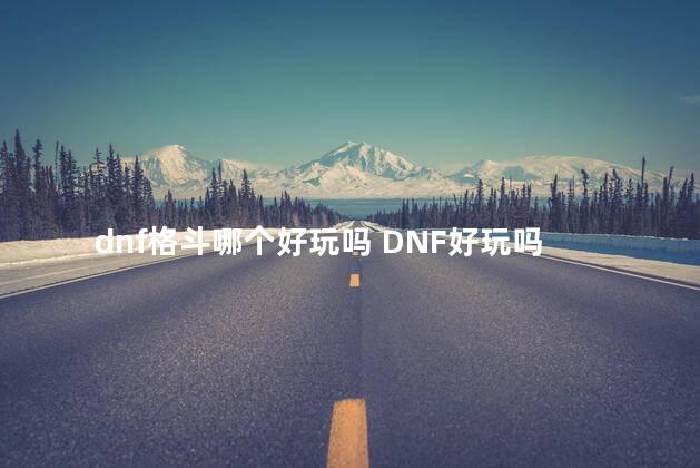 dnf格斗哪个好玩吗 DNF好玩吗